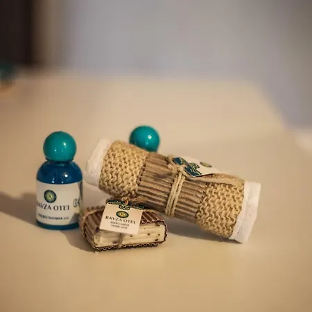 شقة فندقية Ravza 3*